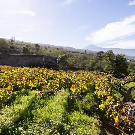 Διαμέρισμα Ek Teide El Milagro *