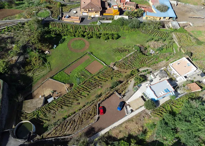 Ek Teide El Milagro La Orotava