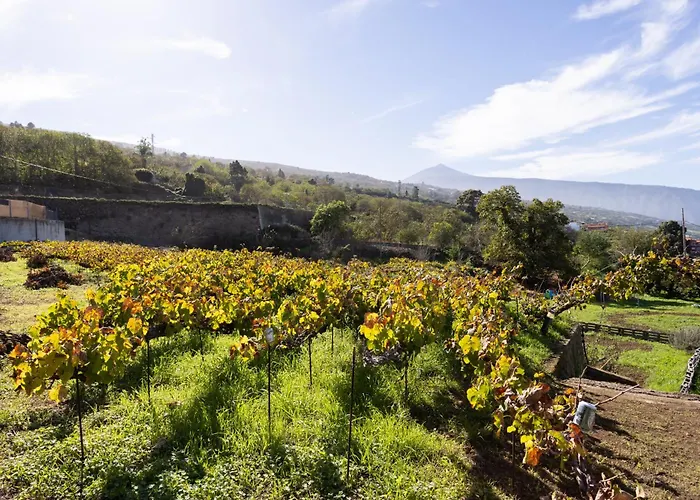 Appartement Ek Teide El Milagro *