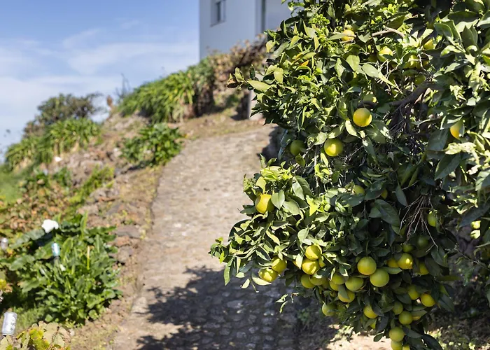 Appartement Ek Teide El Milagro